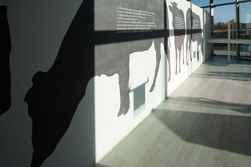 La Casa della Piemontese - Fotografie di Barbara Guazzone La Casa della Piemontese - Fotografie di Barbara Guazzone