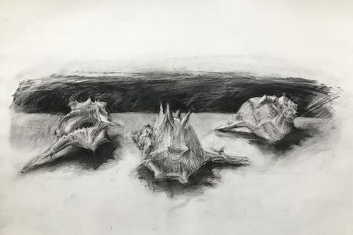 A Fossano “Disegno, segno, pittura” con gli esoscheletri dell’artista Luca Giuliano A Fossano “Disegno, segno, pittura” con gli esoscheletri dell’artista Luca Giuliano