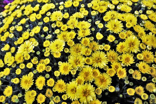 Immagine di repertorio - Pixabay Immagine di repertorio - Pixabay