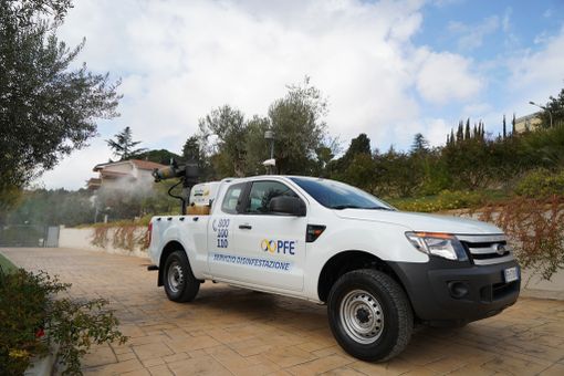 Disinfestazione Insetti Milano: PFE S.p.A. offre un servizio completo