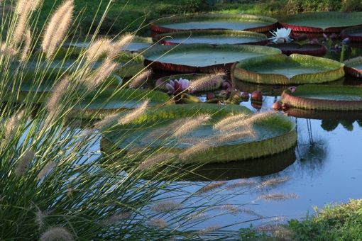 Al via lunedì 25 aprile la nuova stagione di Villa Bricherasio, a Saluzzo Al via lunedì 25 aprile la nuova stagione di Villa Bricherasio, a Saluzzo
