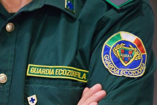 “Venasca e Isasca, più celeri nel rispondere ai giornali che non a risolvere il problema” “Venasca e Isasca, più celeri nel rispondere ai giornali che non a risolvere il problema”