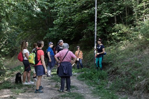 Un agosto ricco di appuntamenti all'Ecomuseo della Pastorizia in Valle Stura Un agosto ricco di appuntamenti all'Ecomuseo della Pastorizia in Valle Stura