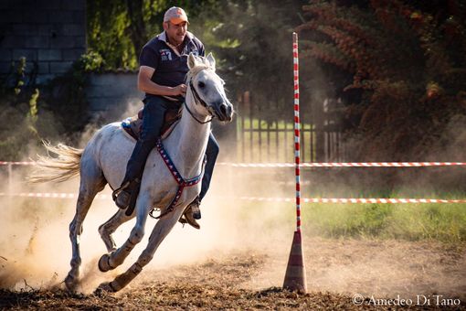Un successo la giornata ippica di Caramagna Piemonte, 50 i cavalli partecipanti
