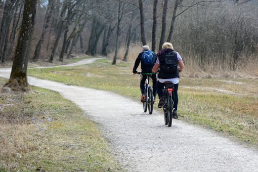 La svolta “bike friendly” del Piemonte: la Regione presenta il programma della mobilità ciclabile