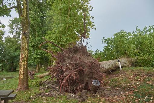 Nubifragio a Savigliano: chiusi i sentieri Tortone, Pacifico e le passeggiate lungo i fiumi Nubifragio a Savigliano: chiusi i sentieri Tortone, Pacifico e le passeggiate lungo i fiumi