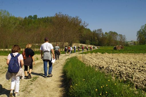 Domenica 29 maggio alle ore 9 si terrà il Memorial Lidia Alberti - 2° Fitwalking Fruttero Sport