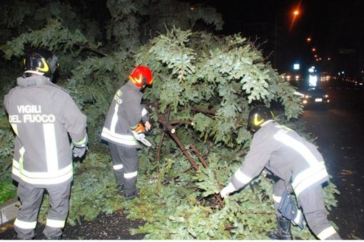 Immagine di repertorio