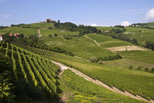 Turismo: Langhe e Roero destinazione preferita di tedeschi e svizzeri