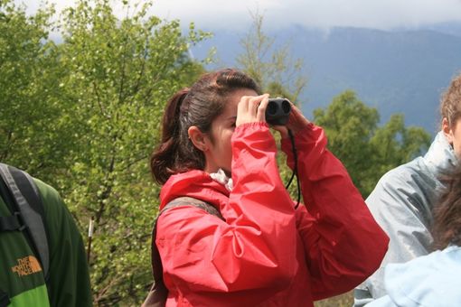 Sampeyre, giornata di formazione scientifica organizzata dall'Associazione Naturalistica Vesulus