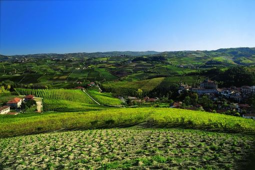 L’Associazione "Amicissia Piemonteisa" presenta  la prima edizione del Premio letterario “Cipressa”