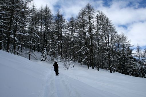 Immagine di repertorio