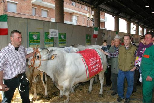 L’azienda agricola Fruttero premiata alla Fiera del Vitello Grasso di Fossano