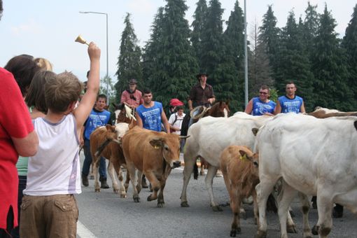 La transumanza 2010 transita a Paesana
