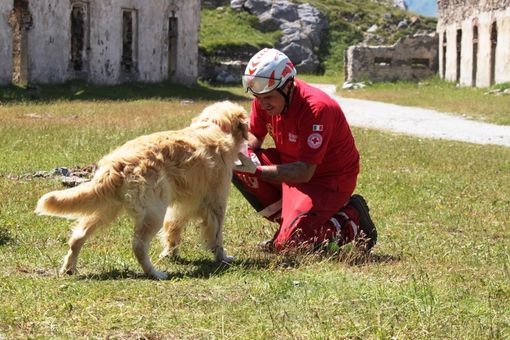 Un'unita cinofila della CRI