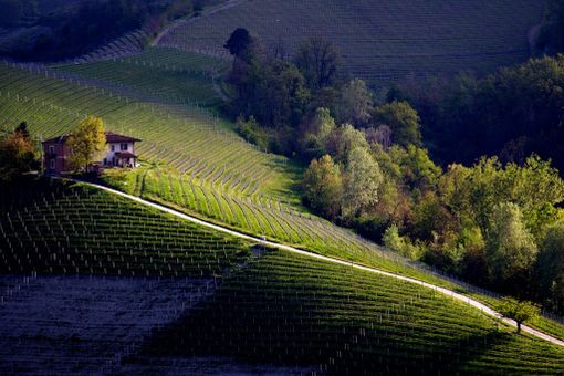 Torna Sapori di Langa: ecco la Fiera di fine estate a Clavesana