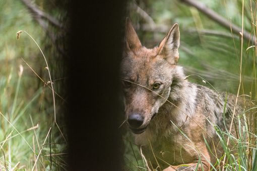 Foto di Gabriele Cristiani