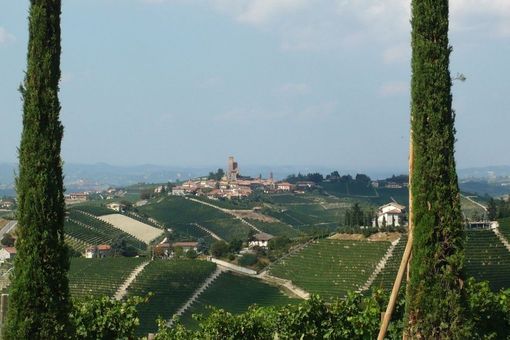 L’immunologa Antonella Viola in Fondazione Mirafiore con una lectio dal titolo "Danzare nella tempesta" L’immunologa Antonella Viola in Fondazione Mirafiore con una lectio dal titolo "Danzare nella tempesta"