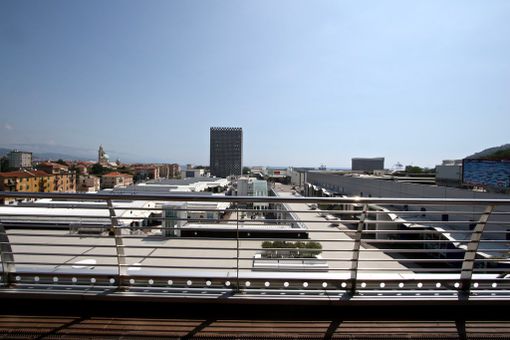 Mannequine Challenge: la moda che impazza sul web arriva a Vado Ligure grazie a Molo 8.44 Mannequine Challenge: la moda che impazza sul web arriva a Vado Ligure grazie a Molo 8.44