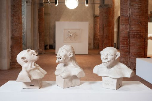 “Museo di storia innaturale”: al Complesso monumentale di San Francesco a Cuneo si presenta il catalogo