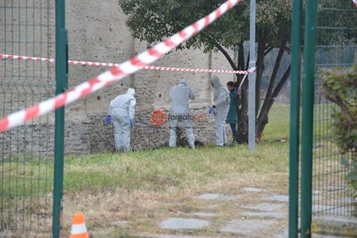 Foto di Nicolò Bertola