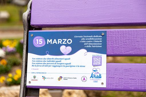 Immagina della panchina lilla di Cuneo