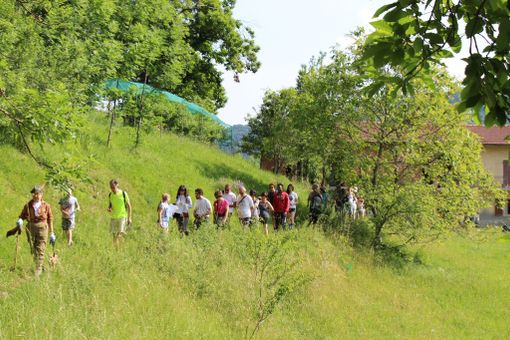Quattro escursioni gratuite per scoprire Robilante d'estate