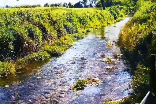 Beinette, camminata culturale ai Paschi e visita guidata della Pieve