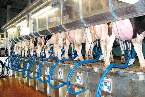 Immagine di repertorio Immagine di repertorio