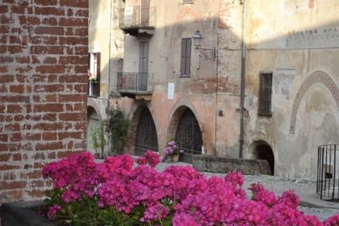 Ritorna Saluzzo in Fiore nell'ambito della rassegna dei Comuni Fioriti