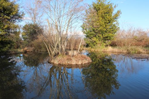 Giardino Naturale della Lipu a Cuneo: un piccolo Eden nella città
