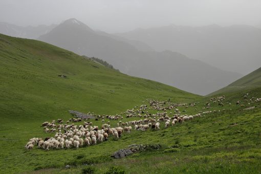 Foto di Federico Aimar Foto di Federico Aimar