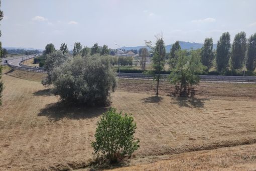 Il Comitato No Biometano a Govone chiede al sindaco di non dimettersi Il Comitato No Biometano a Govone chiede al sindaco di non dimettersi