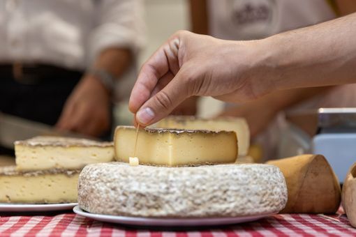 Presentato in Regione Cheese 2025: il mondo del latte crudo tra gusto, territori e futuro 