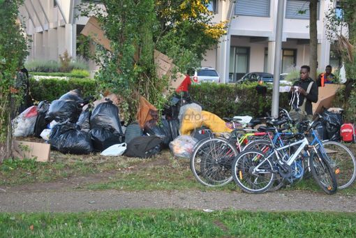 Allarme stagionali nel Saluzzese, il sindaco Demaria: "Non ci sono i soldi per l'accoglienza diffusa. I lavoratori saranno per strada e nei parchi"