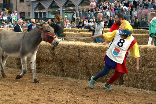 Al Palio di Alba tra l'antidoping agli asini, la sobria solitudine del fantino e le buone maniere spiegate a un giovane paggio Al Palio di Alba tra l'antidoping agli asini, la sobria solitudine del fantino e le buone maniere spiegate a un giovane paggio