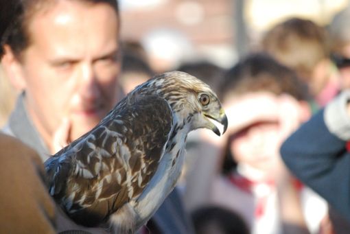 La Morra pronta a festeggiare i bambini nati nel 2015: torna la Festa di San Martino La Morra pronta a festeggiare i bambini nati nel 2015: torna la Festa di San Martino