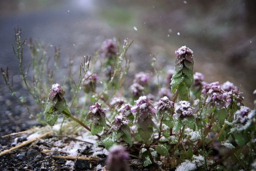 Foto generica Foto generica