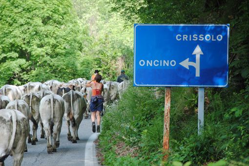 Immagine di repertorio (Copyright Targatocn.it) Immagine di repertorio (Copyright Targatocn.it)