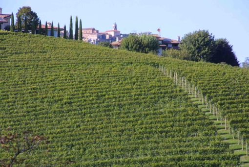 foto di repertorio foto di repertorio