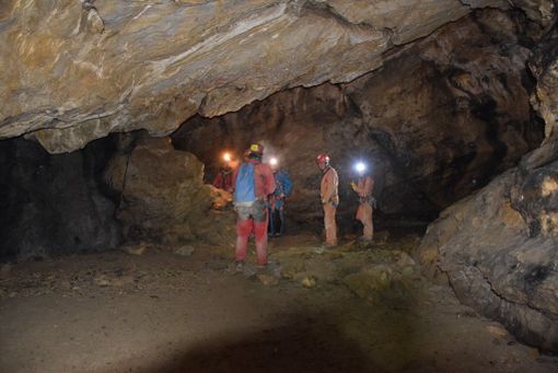 Le immagini dell'esplorazione speleo Le immagini dell'esplorazione speleo