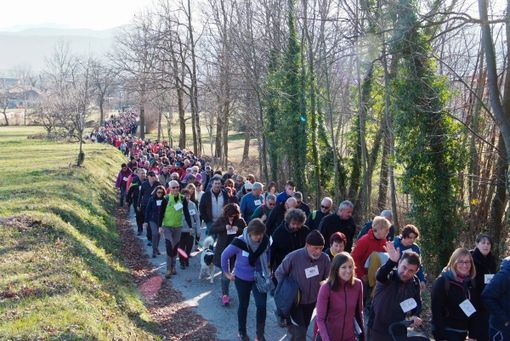 Immagine di repertorio Immagine di repertorio