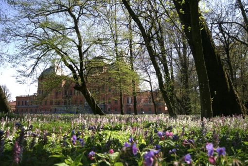 Racconigi, ancora incerta la riapertura del parco del castello: su Facebook parte la campagna di sensibilizzazione