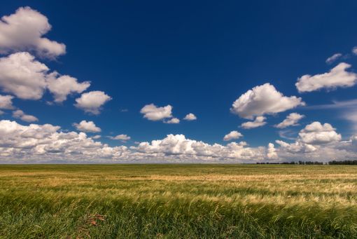 Foto generica Foto generica