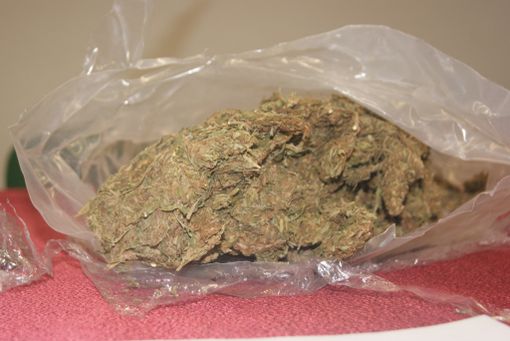 Legalizzare la cannabis, oggi discussione in Parlamento: per il sì Chiara Gribaudo