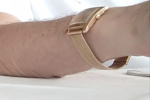 Smarrito orologio d'oro a Cuneo, si offre lauta mancia a chi lo riporta Smarrito orologio d'oro a Cuneo, si offre lauta mancia a chi lo riporta