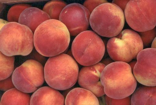 Coldiretti: pari dignità tra settori e alta qualità per salvare il mercato delle pesche