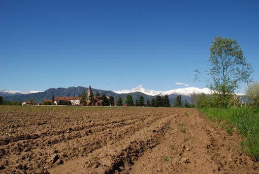 Nuova asta pubblica per “affittare” i terreni in località Staffarda di Revello