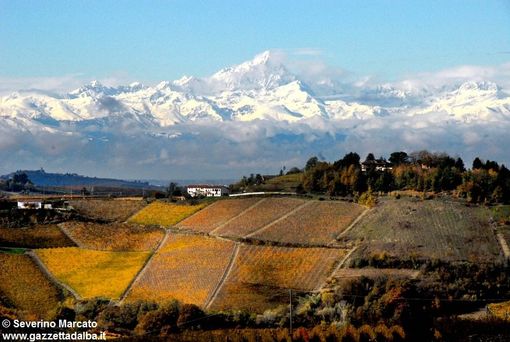 Suoni dalle Colline di Langhe e Roero