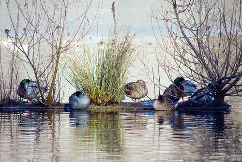 Immagine di repertorio Immagine di repertorio